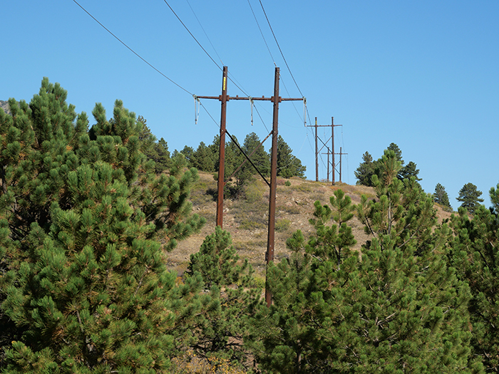 Electrical power lines and utility poles crossing a dry Colorado landscape surrounded by ponderosa pine.