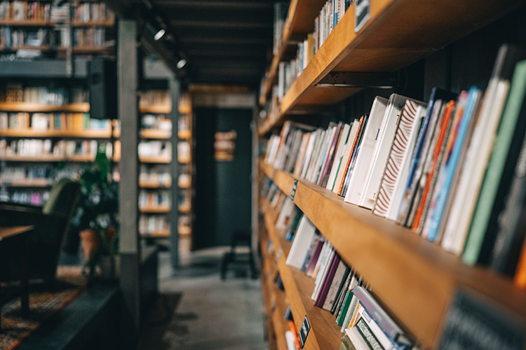 Library bookshelf with colorful spines, warm wood, neatly organized. Perfect for calm reflection and study.